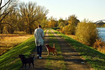 Bild der Petition Für mehr Mülleimer und Hundekotbeutelspender