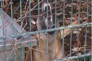Bild der Petition Für Ruhe im Gewerbegebiet Heimerzheim