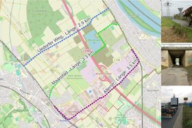 Bild der Petition: Für sichere Radwege zwischen Bornheim und den Rheindörfern!