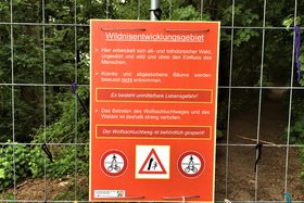 Foto e peticionit:Für eine sofortige Freigabe des Wolfsschluchtweges am Südhang des Wittekindsberges