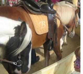 Pilt petitsioonist:Für Volksfeste in Darmstadt ohne Ponyleid! Ban The Use of Live Ponies for Carousel Rides!!!