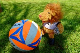 Bild der Petition: Fußballtrikots müssen bezahlbar sein!