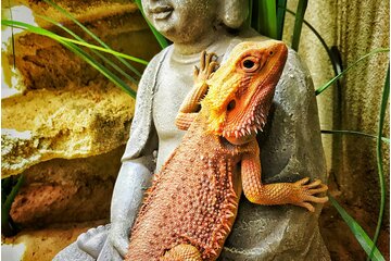 Bild der Petition Fussel muss mit zur Event Location