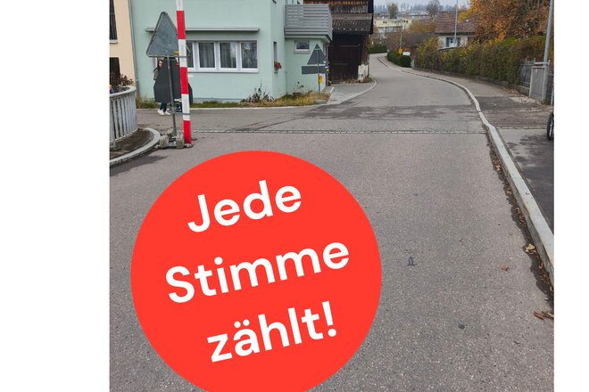 Image of the petition Fussgängerstreifen oder andere Sicherheitsmassnahmen für Eichholzstrasse in Wetzikon