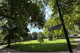 პეტიციის სურათი: Gefährdung des Max-Dietlein-Parks und unseres Veedels