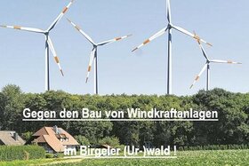 Bild der Petition: Gegen den Bau von Windkraftanlagen im Birgeler (Ur-)wald