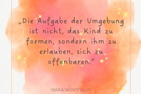 Bild der Petition: Gegen den Einschulungszwang für Juni-Kinder in Schleswig-Holstein!