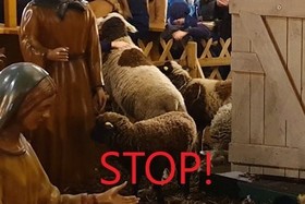 Photo de la pétition :Gegen die Haltung von Schafen auf dem Leipziger Weihnachtsmarkt