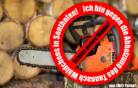 Bild der Petition: Gegen die mögliche Abholzung des Tannach Wäldchens!