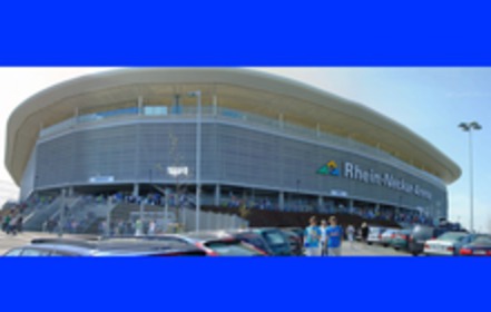 Obrázok petície:Gegen die Nutzung der Rhein-Neckar-Arena Sinsheim durch den KSC