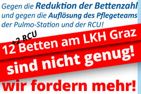 Bilde av begjæringen:Gegen die Reduktion der Lungenabteilung am LKH-Univ. Klinikum Graz