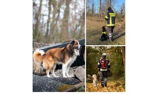 Bild der Petition: Gegen die Schließung der Rettungshundestaffel der Feuerwehr Wiesbaden