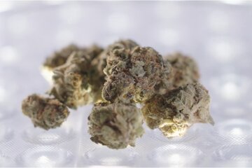 Bild der Petition Gegen die Streichung von Cannabisblüten aus dem GKV-Leistungskatalog