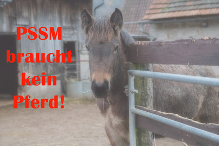 Bild der Petition: Gegen die Vermehrung des Gendefektes PSSM bei Kaltblutpferden