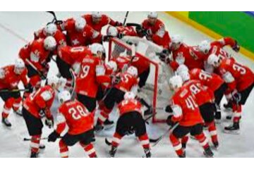 Image of the petition Gegen eine Erhöhung der spielberechtigten Ausländer im Schweizer Eishockey