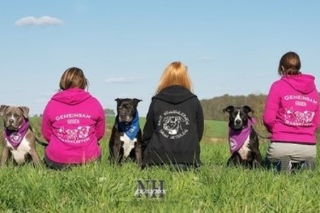 Photo de la pétition :Gegen Hunderassen-Diskriminierung in Wiesloch! Gegen die 5fache Steuererhöhung!