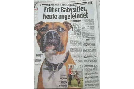 Zdjęcie petycji:Gegen die Hunderassen Diskriminierung und für die Abschaffung der Liste !