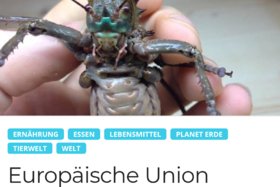 Bild der Petition: Gegen Insekten für den menschlichen Verzehr.