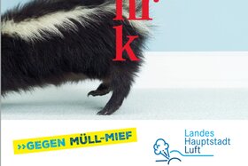 Slika peticije:Gegen Müll-Mief in St. Pölten