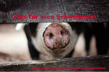 Billede af andragendet:Gegen Schweinemastbetrieb in Diez/Birlenbach