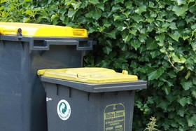 Imagen de la petición:Gelbe Mülltonnen statt gelbe Säcke