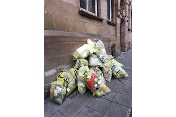 Bild der Petition Gelbe Tonne für Landkreis Freising