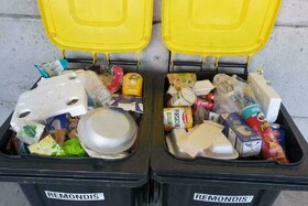 Slika peticije:Yellow bins for the whole of Baden-Württemberg