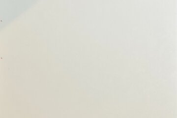 Bild der Petition gelöscht