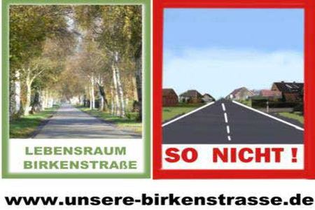 Bild der Petition: Gemeinderat Westoverledingen: Bewahren Sie den Lebensraum Birkenstraße!