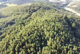 Picture of the petition:Genug ist genug: Keine Windräder auf unserer Fläche am Klarenberg!