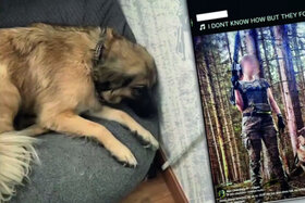 Bild der Petition: Gerechtigkeit für Jette – Schutz für zukünftige Tiere
