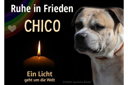 Bild der Petition: Gerechtigkeit und Aufklärung für den Fall "Chico"