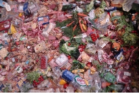 Bild på petitionen:Gesetz gegen Lebensmittelverschwendung (Anti Wegwerf-Gesetz)