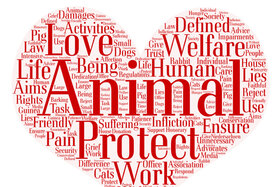 Bild der Petition: Gesetzesänderung, Tiere sind keine Sache.