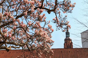 Bild der Petition Gestaltungssatzung wieder einführen