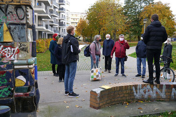 Bild der Petition gesunde Bäume gefällt