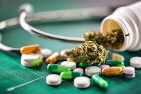 Bild der Petition: Gesundheit braucht Vertrauen – Stoppen Sie das geplante Versandverbot für Medizinalcannabis!