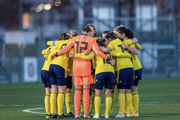 Bild der Petition Gleichberechtigung der Frauen im Bereich des Fußballs