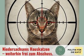 Bild der Petition: Gleiches Recht für Haustiere: Stoppt den legalisierten Katzenabschuss im Jagdgesetz Niedersachsen