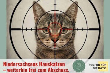 Bild der Petition Gleiches Recht für Haustiere: Stoppt den legalisierten Katzenabschuss im Jagdgesetz Niedersachsen