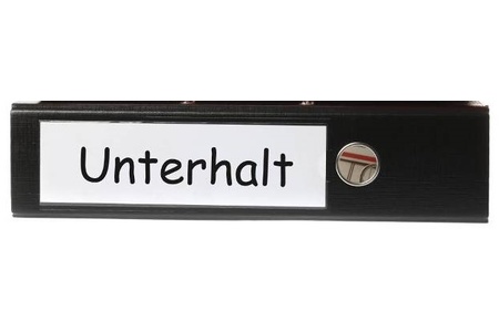 Bild der Petition Gleichstellung des rückwirkenden Kindesunterhalt zum laufenden Kindesunterhalt.