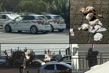Εικόνα της αίτησης Gordons Bay Needs Enforcement Of Laws To Remove Criminal Elements — Before Summer Gets Worse