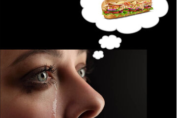 Imagen de la petición Gotland behöver Subway igen