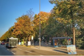 Foto van de petitie:Green City e.V. gegen Baumfällung an der Prinzregentenstraße!