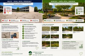 Bild der Petition: Grün statt Grau?