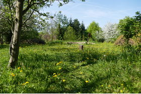 Bild der Petition: Grünflächen in Freiburg, Stühlinger erhalten