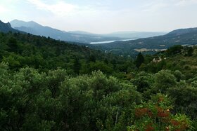 Bild der Petition: Grundrechte für Land- und Waldbesitzer