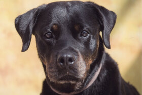 Lūgumraksta attēls: Grundsteuer total unfair bitte mal lesen!