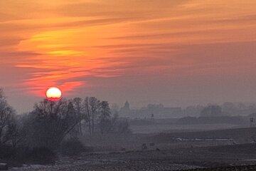 Bild der Petition Hände weg vom Biosphärenreservat Schorfheide-Chorin