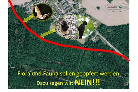 Φωτογραφία της αναφοράς:Hände weg vom Landschaftsschutzgebiet Ebersberger Forst